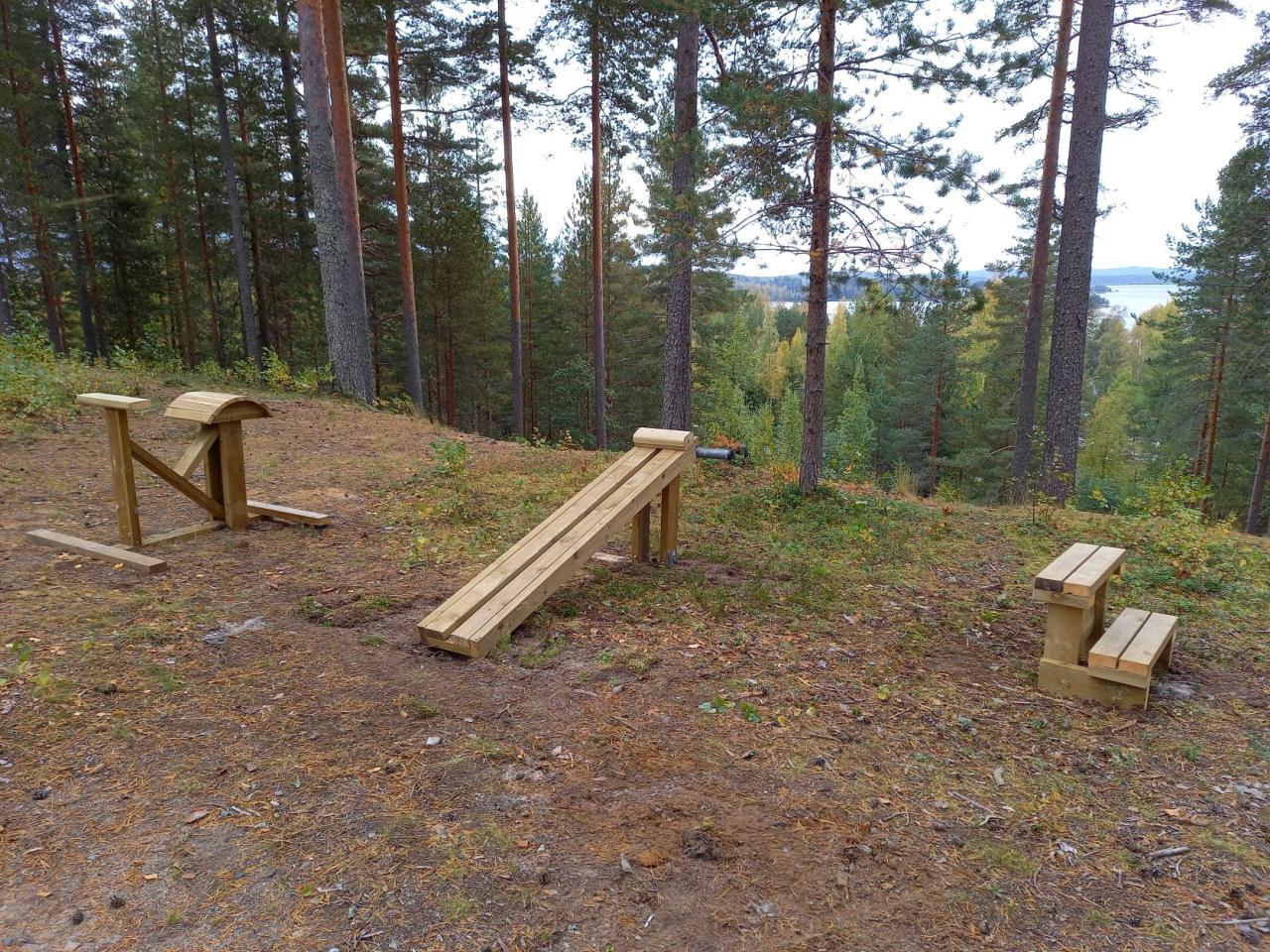 Kuntoilutelineet