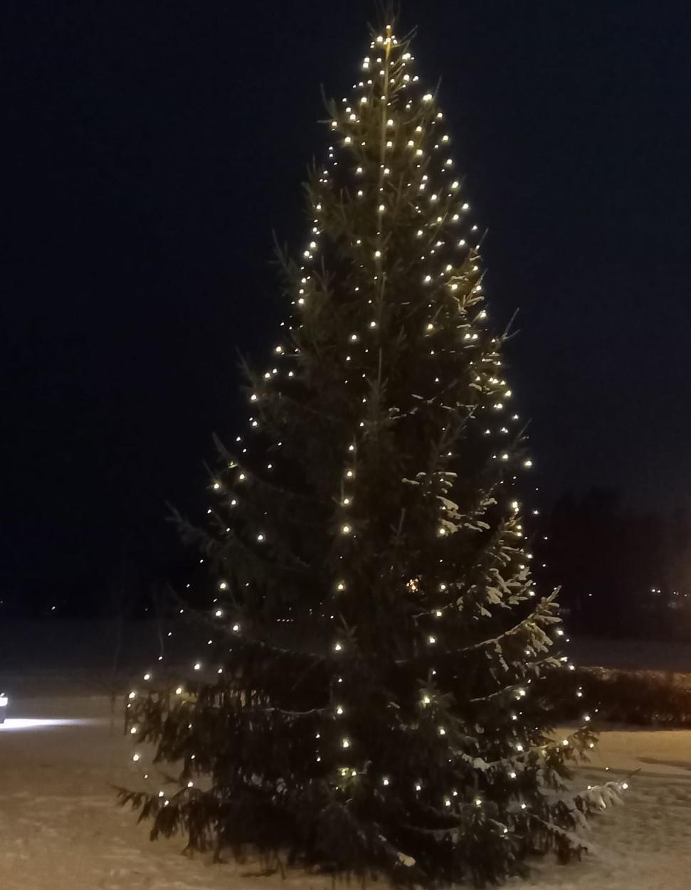 Joulukuusi