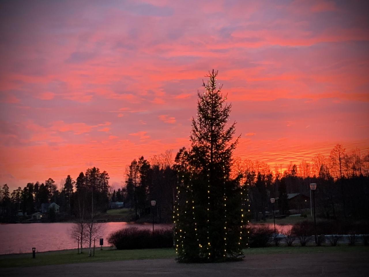 Joulukuusi lentäjäveljesten aukiolla